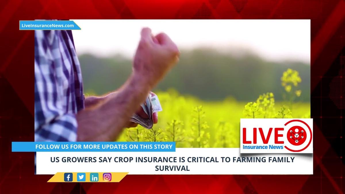 'Video thumbnail for US growers say crop insurance is critical to farming family survival'