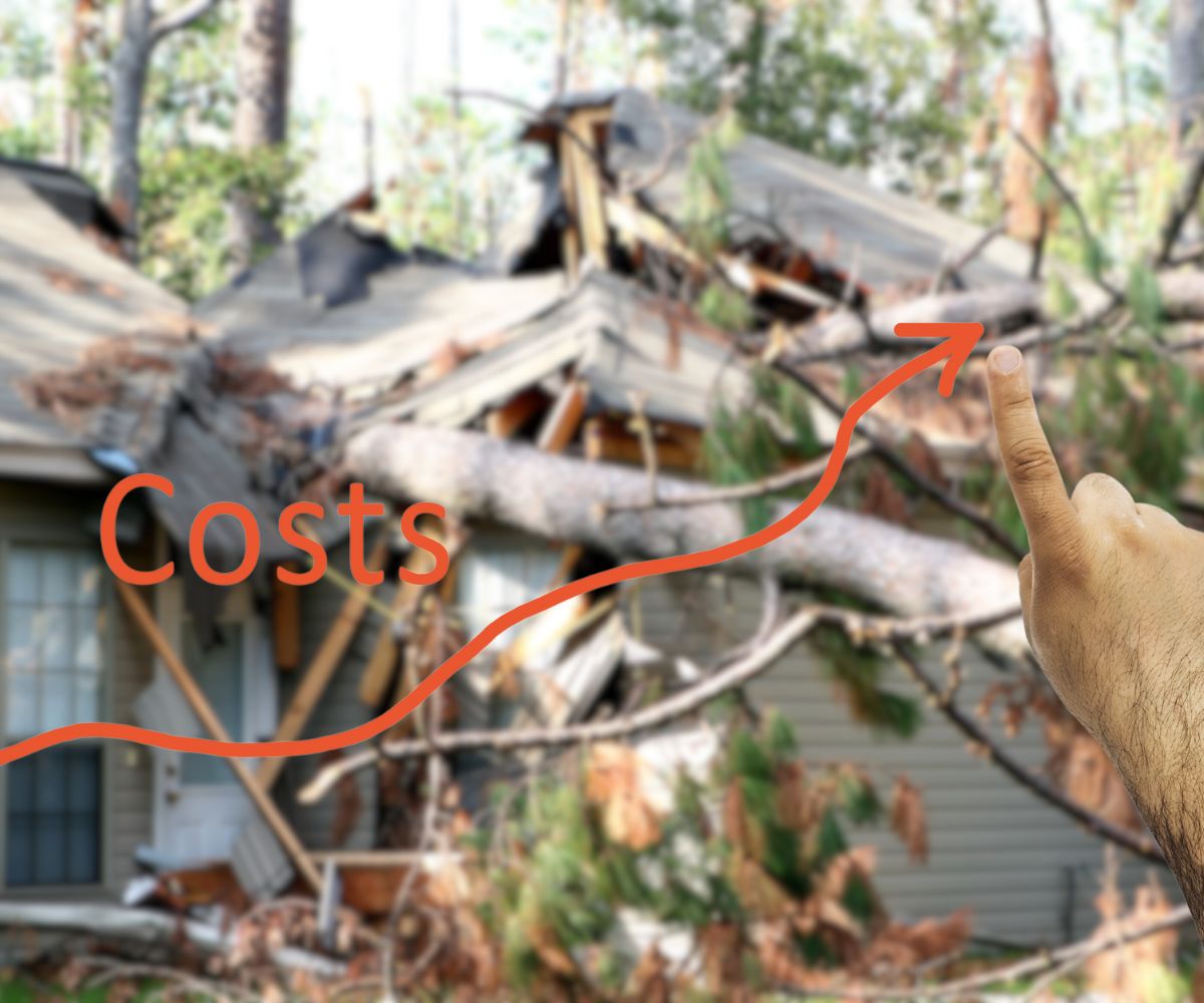 home insurance kitty cat storms cost of storm damage