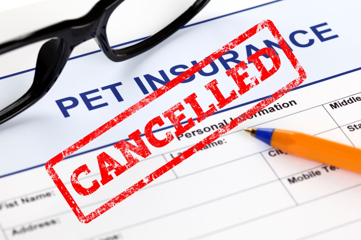 Nationwide Insurance Cancels Pet Insurance Coverage