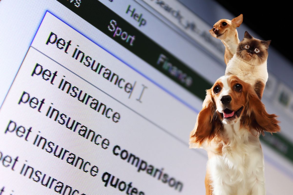 Nationwide Insurance - Pet Insurance Search - Dogs and cat