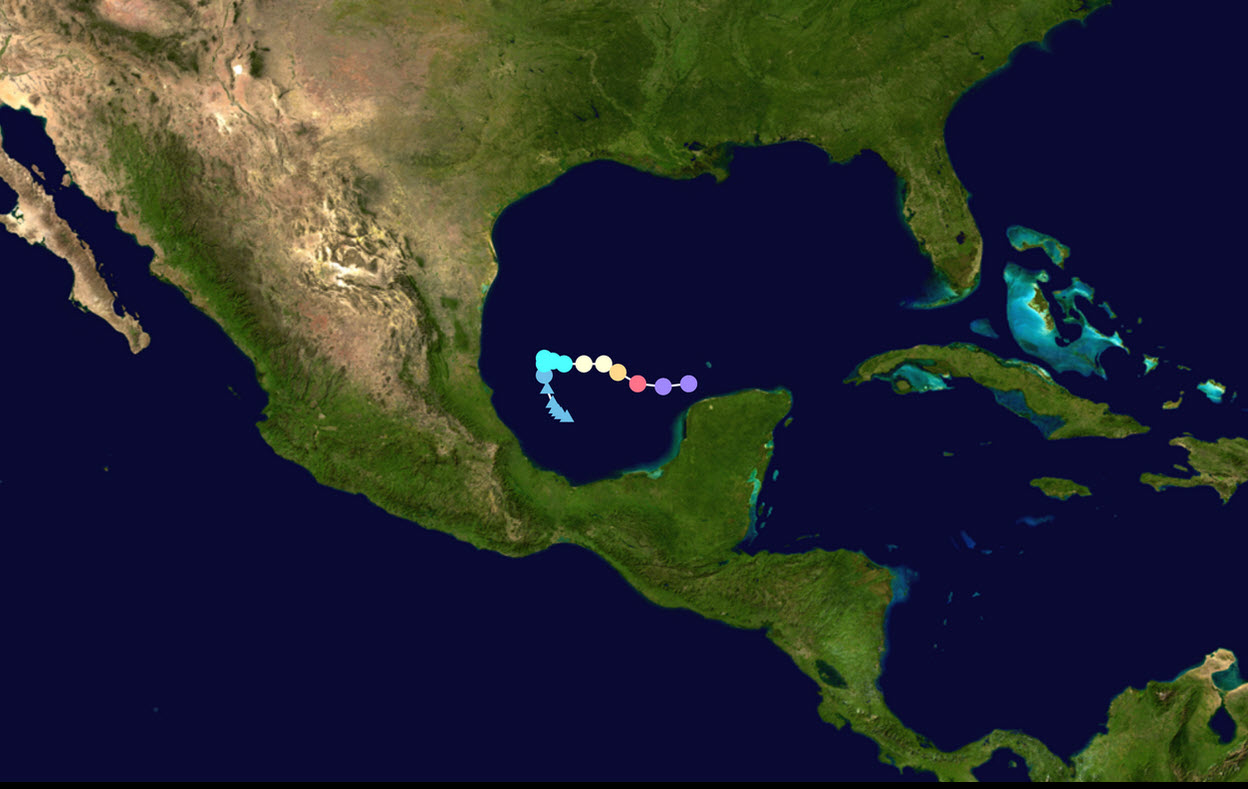 From Helene to Milton Tampa's Unprecedented Hurricane Season » Live