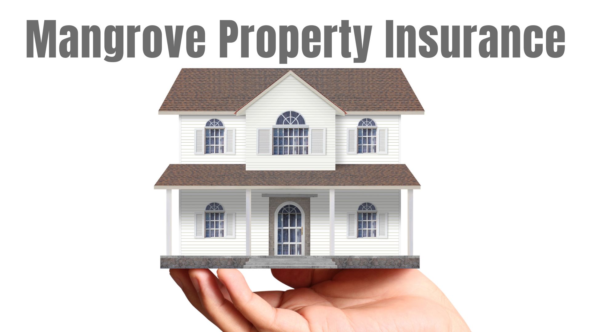 Mangrove Property Insurance